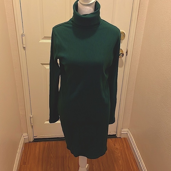 wild fable Dresses & Skirts - EUC Cute Turtle Neck Dress FOREST GREEN COLOR SIZE xl